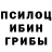 Псилоцибиновые грибы ЛСД Pi_Vezc