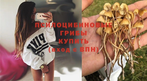СК Алексеевка