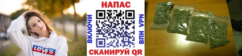Шишки марихуана Amnesia  купить   Севастополь 